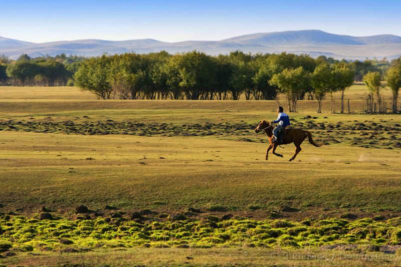 Inner Mongolia, landscape, horse, rider